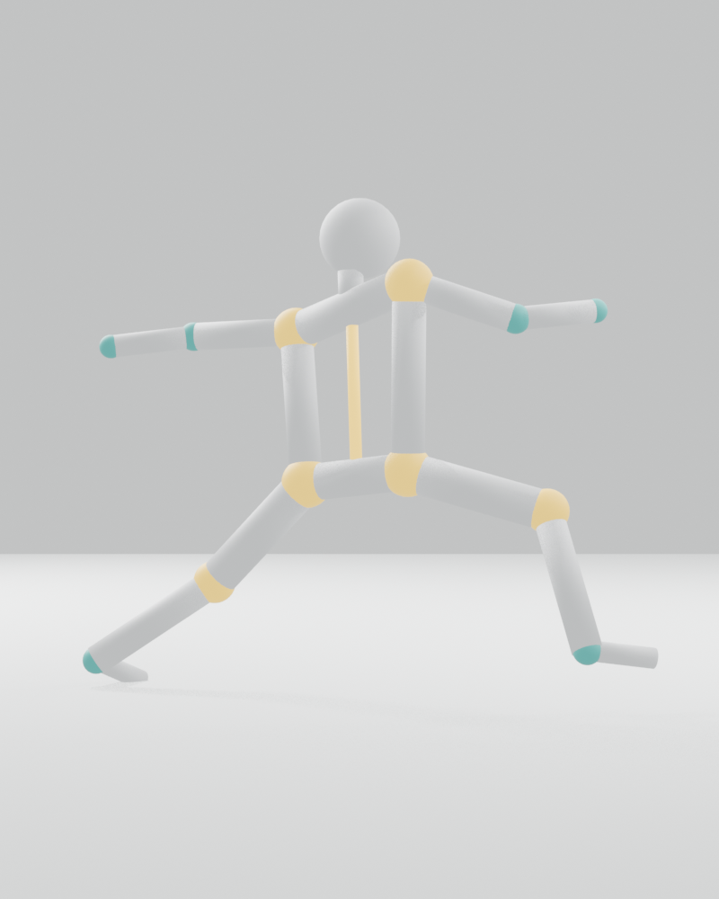Anatomy layer, back